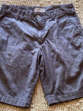 🌈 Retrofit brand  mfg size 32 chambray shorts